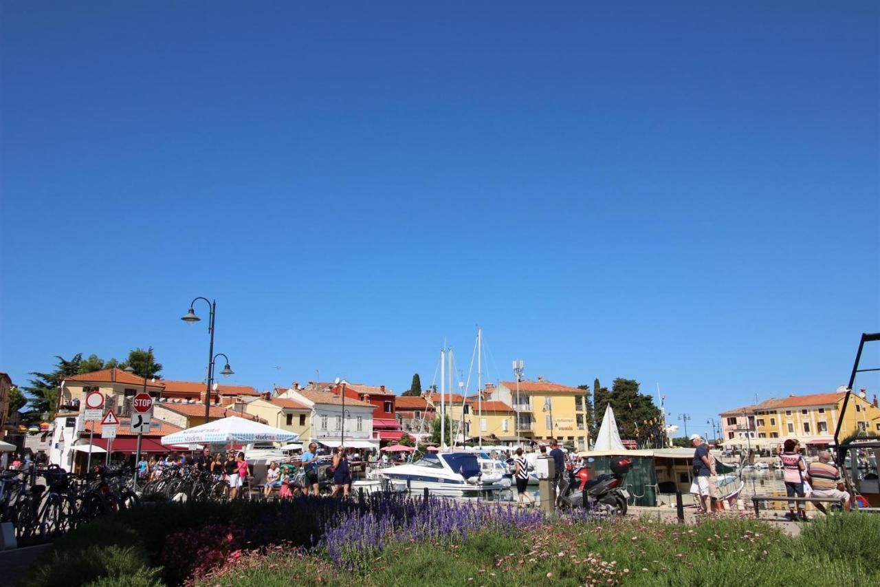 Novigrad Istria Irena A2 아파트 외부 사진